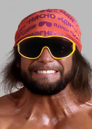 Randy Poffo